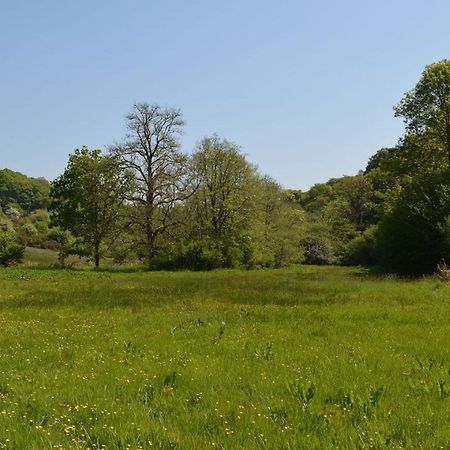 Отель Aldridge Mill Oakford Экстерьер фото