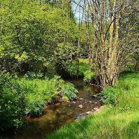 Отель Aldridge Mill Oakford Экстерьер фото