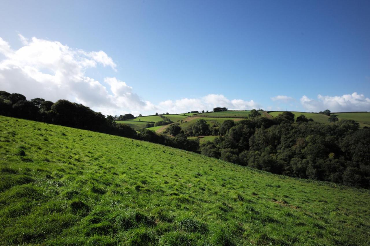 Отель Aldridge Mill Oakford Экстерьер фото