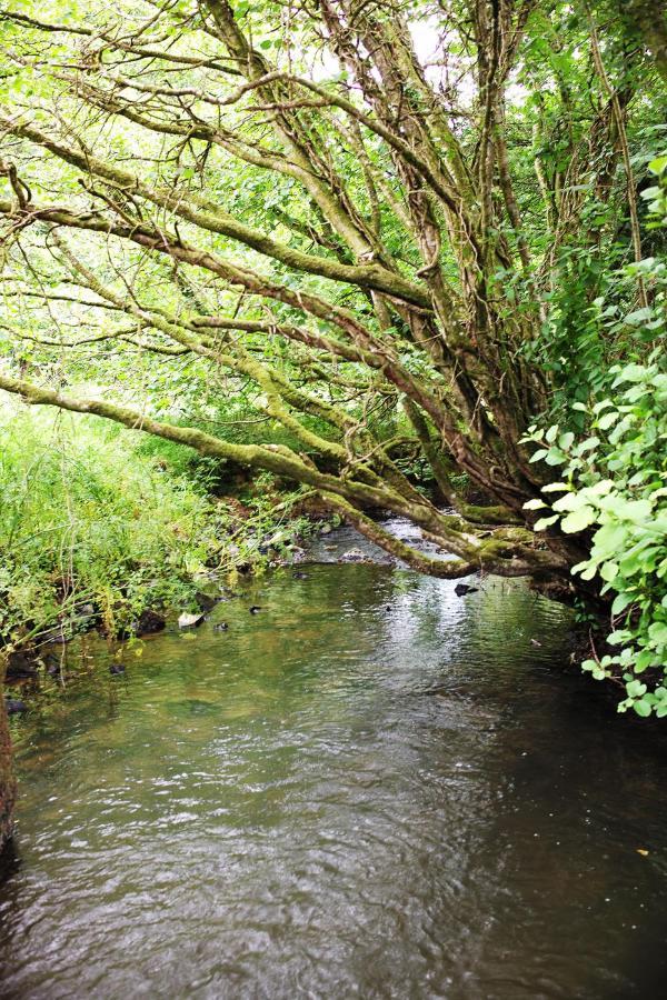 Отель Aldridge Mill Oakford Экстерьер фото