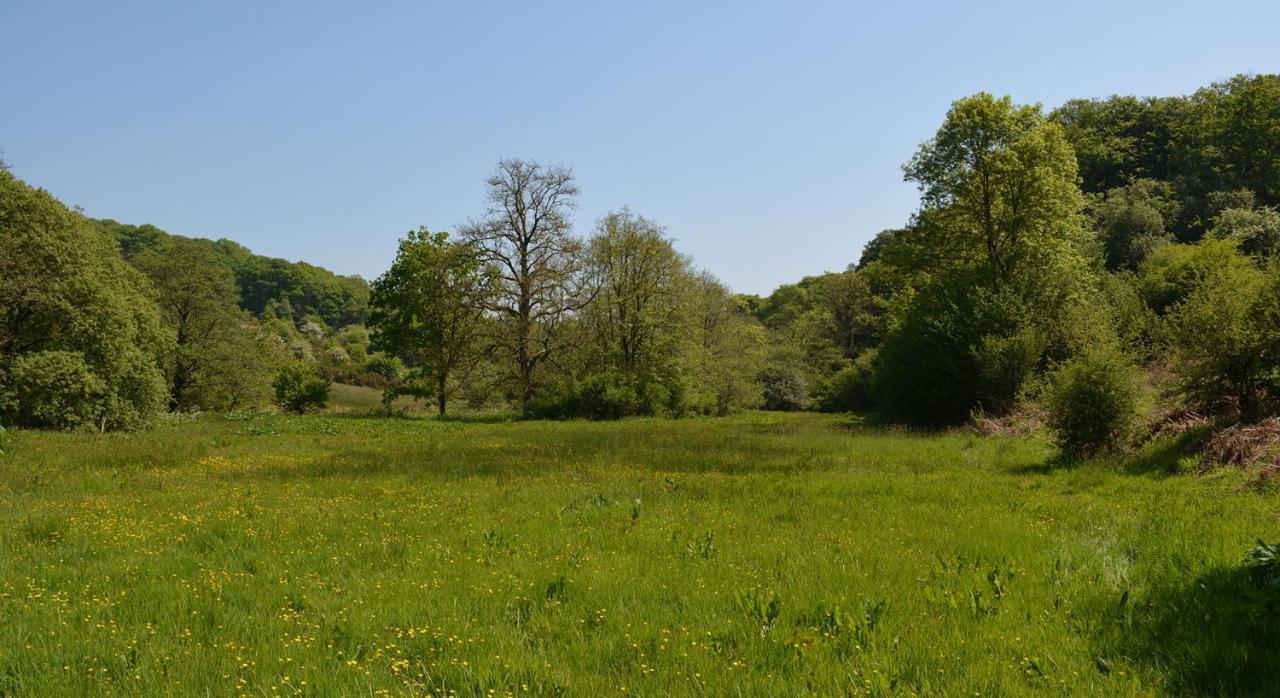 Отель Aldridge Mill Oakford Экстерьер фото