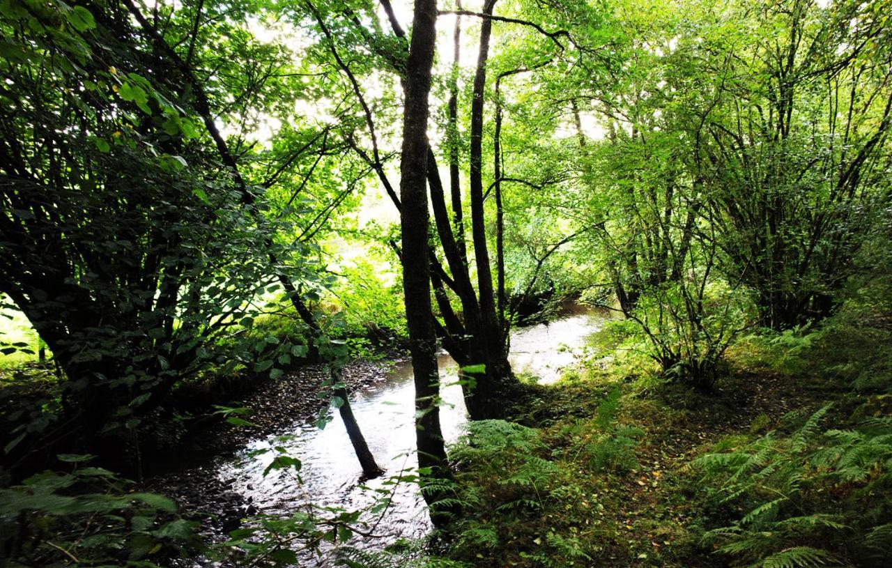 Отель Aldridge Mill Oakford Экстерьер фото